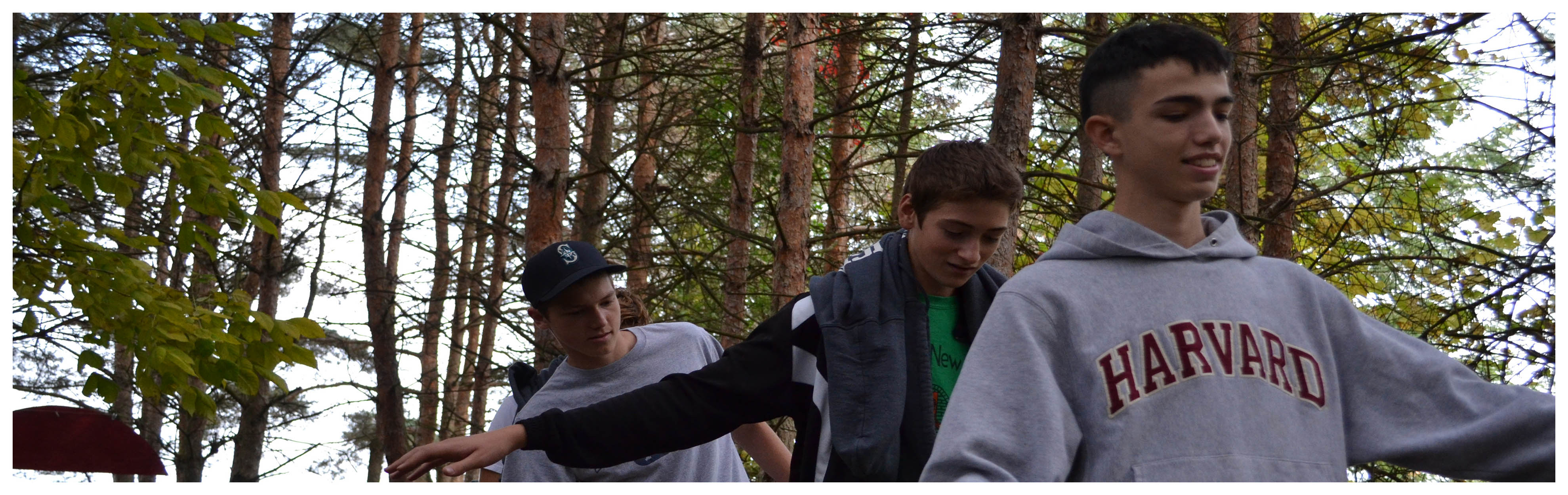 Untitled Header Image